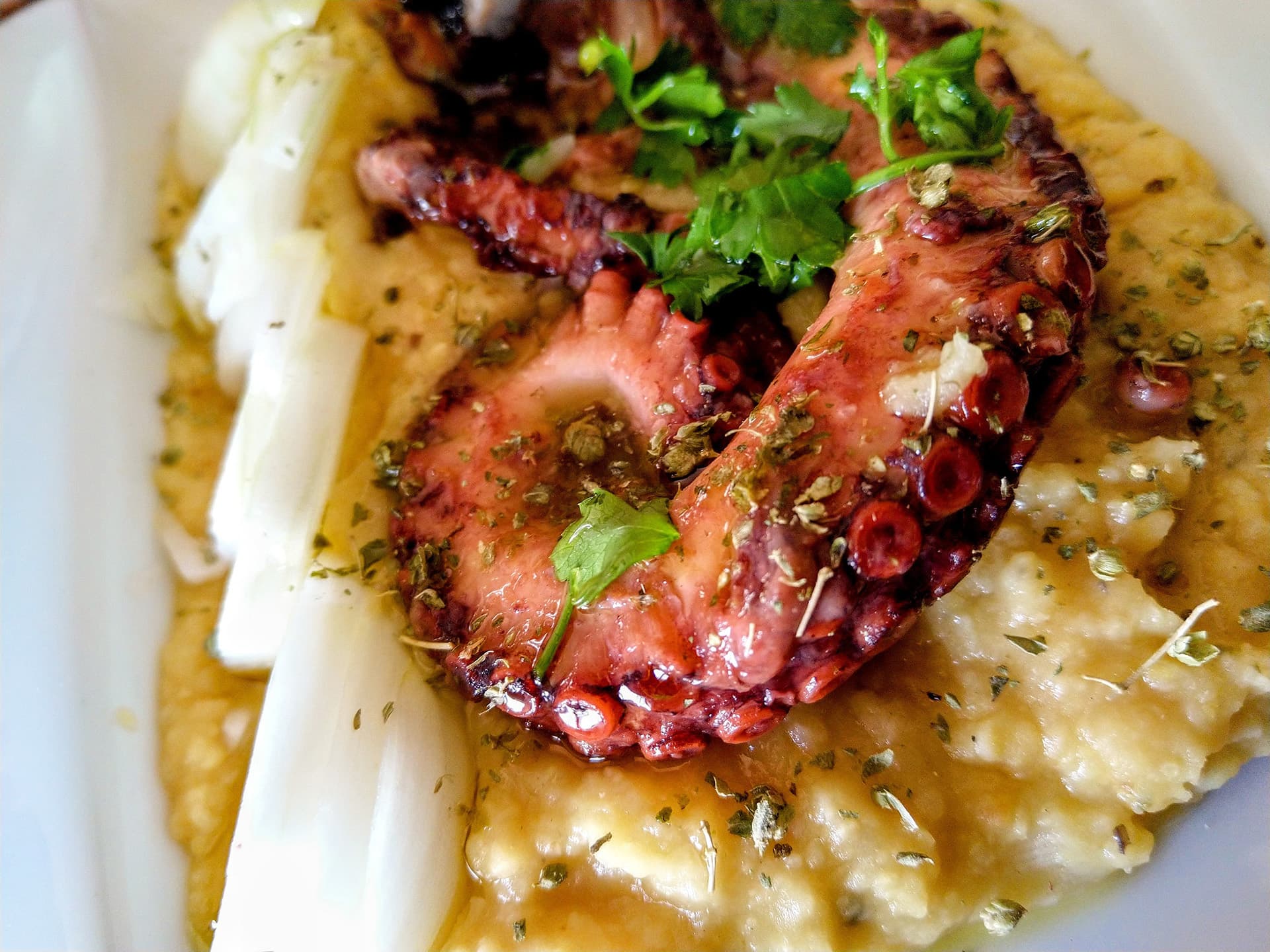 Octopus & Fava